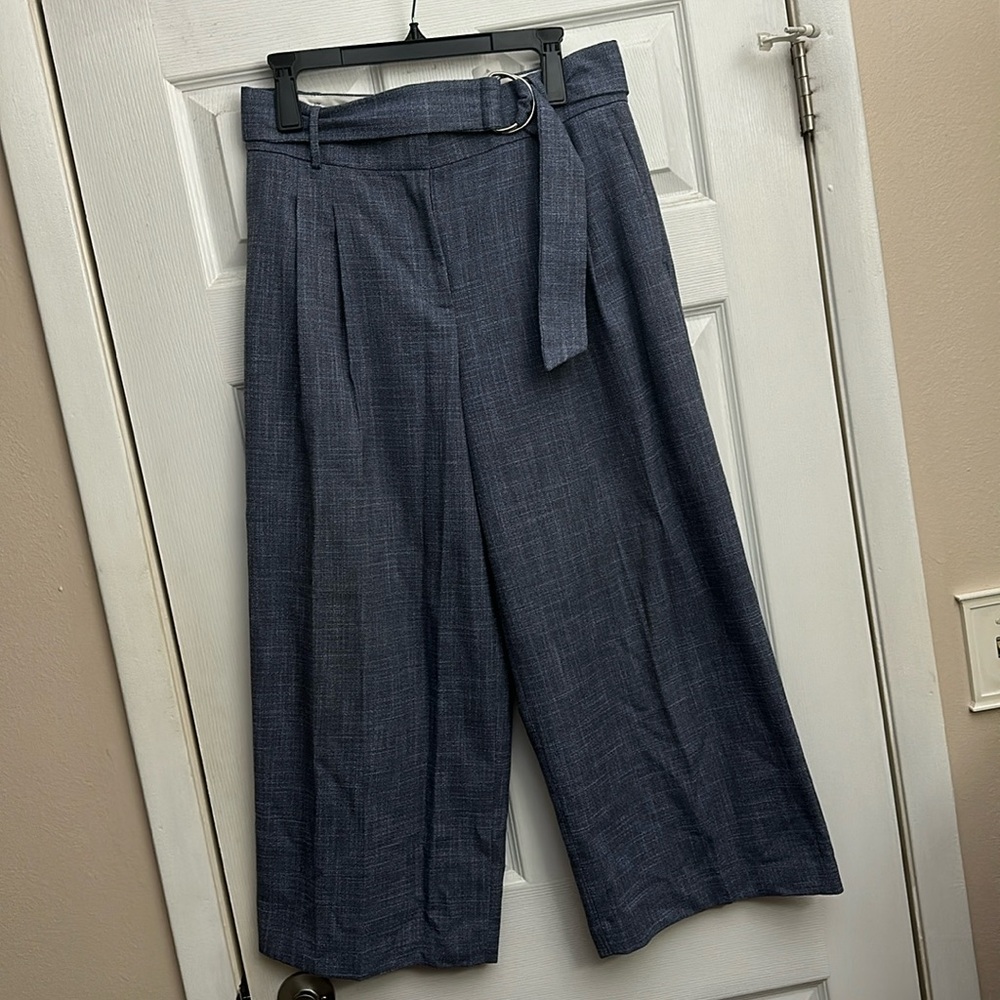 Siz8 Ann Taylor Static Pants in blue